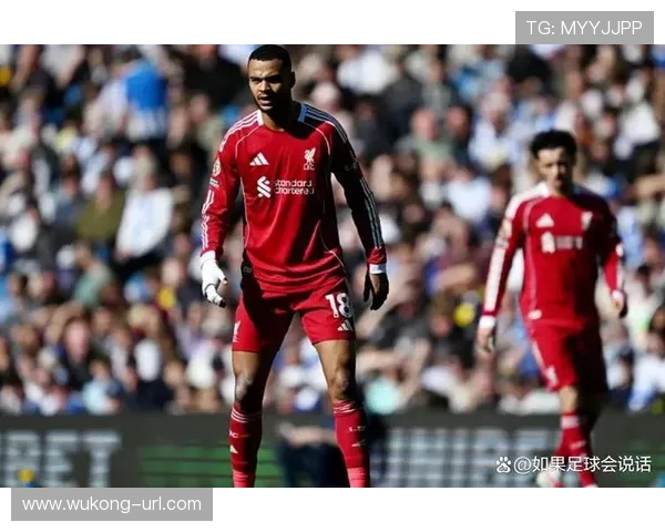 利物浦伤病问题持续显现，对赛季争冠形势构成阶段性影响
