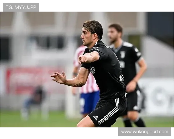 从紫百合锋霸到斑马军团支点：弗拉霍维奇的角色转变