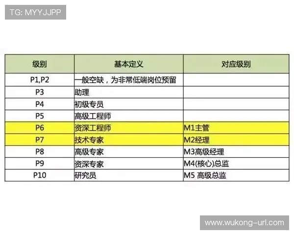 恩佐长传调度与推进能力解析