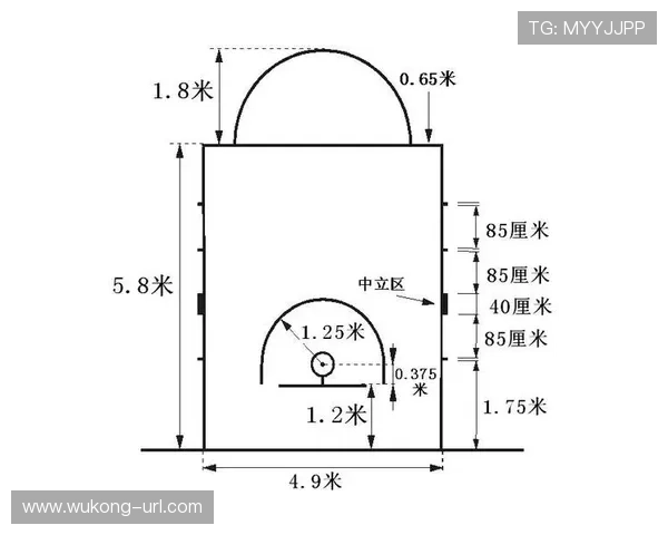 篮球新手指南：快速理解NBA与FIBA的罚球规则核心差异